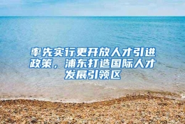 率先实行更开放人才引进政策，浦东打造国际人才发展引领区