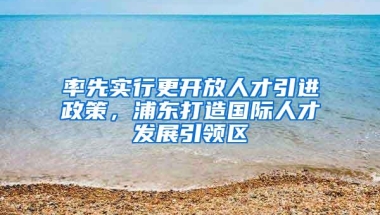 率先实行更开放人才引进政策，浦东打造国际人才发展引领区