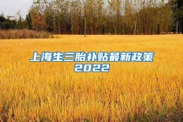 上海生三胎补贴最新政策2022