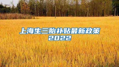 上海生三胎补贴最新政策2022