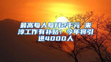 最高每人每月2千元 来淳工作有补贴！今年将引进4000人