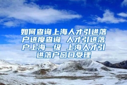 如何查询上海人才引进落户进度查询 人才引进落户上海一级 上海人才引进落户窗口受理