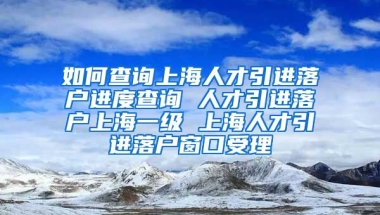 如何查询上海人才引进落户进度查询 人才引进落户上海一级 上海人才引进落户窗口受理