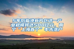 5年后临港新片区这一产业规模将达500亿元，两个“上海首个”率先落户