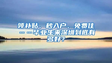 领补贴、秒入户、免费住……毕业生来深圳到底有多好？