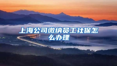 上海公司缴纳员工社保怎么办理