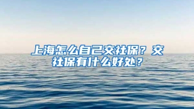 上海怎么自己交社保？交社保有什么好处？