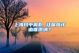 上海月中离职 社保应该由谁缴纳？