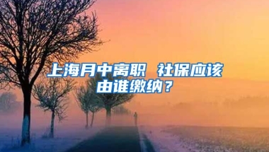 上海月中离职 社保应该由谁缴纳？