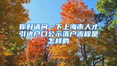 你好请问一下上海市人才引进户口公示落户流程是怎样的