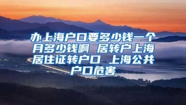 办上海户口要多少钱一个月多少钱啊 居转户上海居住证转户口 上海公共户口危害