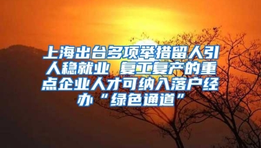 上海出台多项举措留人引人稳就业 复工复产的重点企业人才可纳入落户经办“绿色通道”