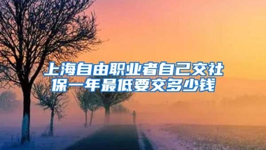 上海自由职业者自己交社保一年最低要交多少钱