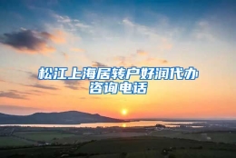 松江上海居转户好润代办咨询电话