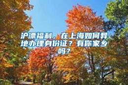 沪漂福利，在上海如何异地办理身份证？有你家乡吗？