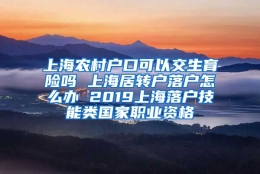 上海农村户口可以交生育险吗 上海居转户落户怎么办 2019上海落户技能类国家职业资格