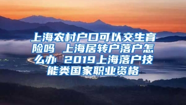 上海农村户口可以交生育险吗 上海居转户落户怎么办 2019上海落户技能类国家职业资格