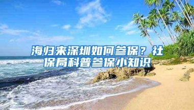 海归来深圳如何参保？社保局科普参保小知识