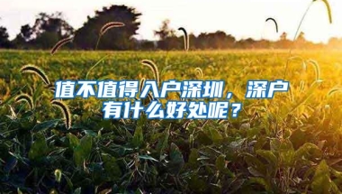 值不值得入户深圳，深户有什么好处呢？