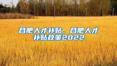 合肥人才补贴，合肥人才补贴政策2022