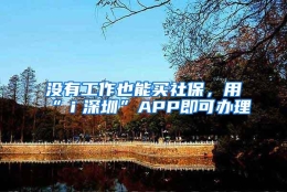 没有工作也能买社保，用“ｉ深圳”APP即可办理