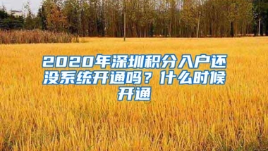 2020年深圳积分入户还没系统开通吗？什么时候开通