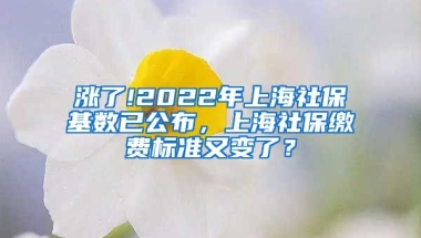 涨了!2022年上海社保基数已公布，上海社保缴费标准又变了？