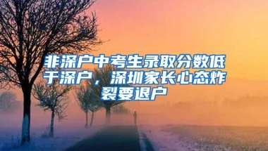 非深户中考生录取分数低于深户，深圳家长心态炸裂要退户