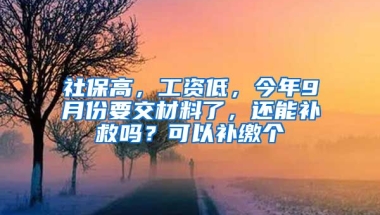 社保高，工资低，今年9月份要交材料了，还能补救吗？可以补缴个