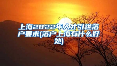 上海2022年人才引进落户要求(落户上海有什么好处)