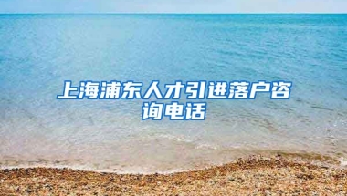 上海浦东人才引进落户咨询电话