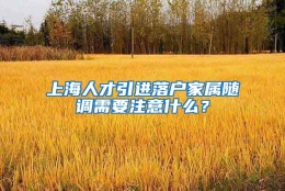 上海人才引进落户家属随调需要注意什么？