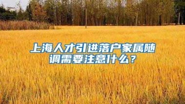 上海人才引进落户家属随调需要注意什么？