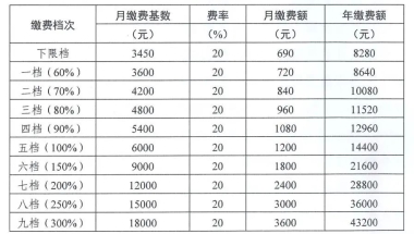 即日起可申报办理！十堰城镇职工最新社保缴费标准公布