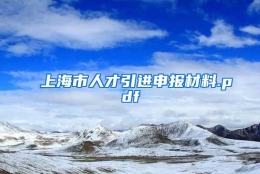 上海市人才引进申报材料.pdf