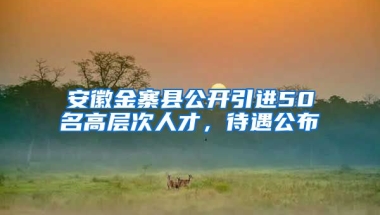 安徽金寨县公开引进50名高层次人才，待遇公布