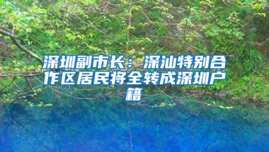 深圳副市长：深汕特别合作区居民将全转成深圳户籍