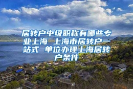 居转户中级职称有哪些专业上海 上海市居转户一站式 单位办理上海居转户条件