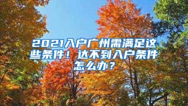 2021入户广州需满足这些条件！达不到入户条件怎么办？