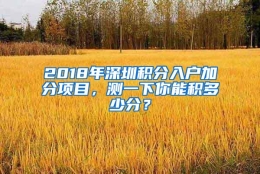 2018年深圳积分入户加分项目，测一下你能积多少分？