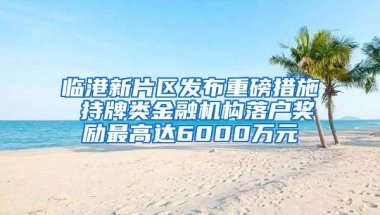 临港新片区发布重磅措施 持牌类金融机构落户奖励最高达6000万元