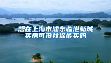 想在上海市浦东临港新城买房可没社保能买吗