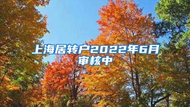 上海居转户2022年6月审核中