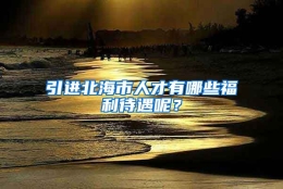 引进北海市人才有哪些福利待遇呢？