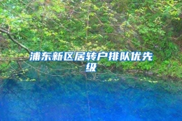 浦东新区居转户排队优先级