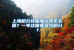 上海积分社保加分项怎么算？一年社保有多少积分？