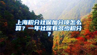 上海积分社保加分项怎么算？一年社保有多少积分？