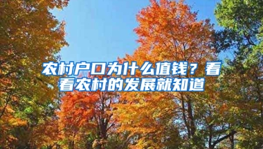 农村户口为什么值钱？看看农村的发展就知道