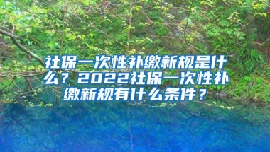 社保一次性补缴新规是什么？2022社保一次性补缴新规有什么条件？