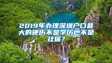 2019年办理深圳户口最大的硬伤不是学历也不是社保？